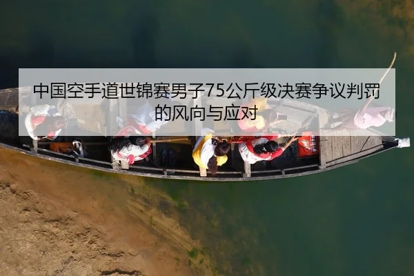 中国空手道世锦赛男子75公斤级决赛争议判罚的风向与应对